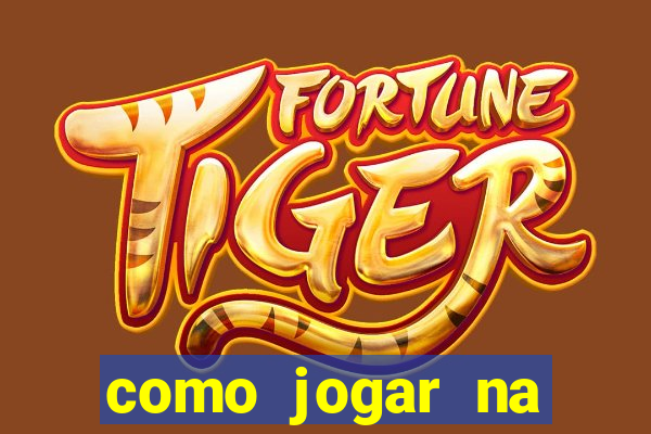 como jogar na teimosinha da lotofacil